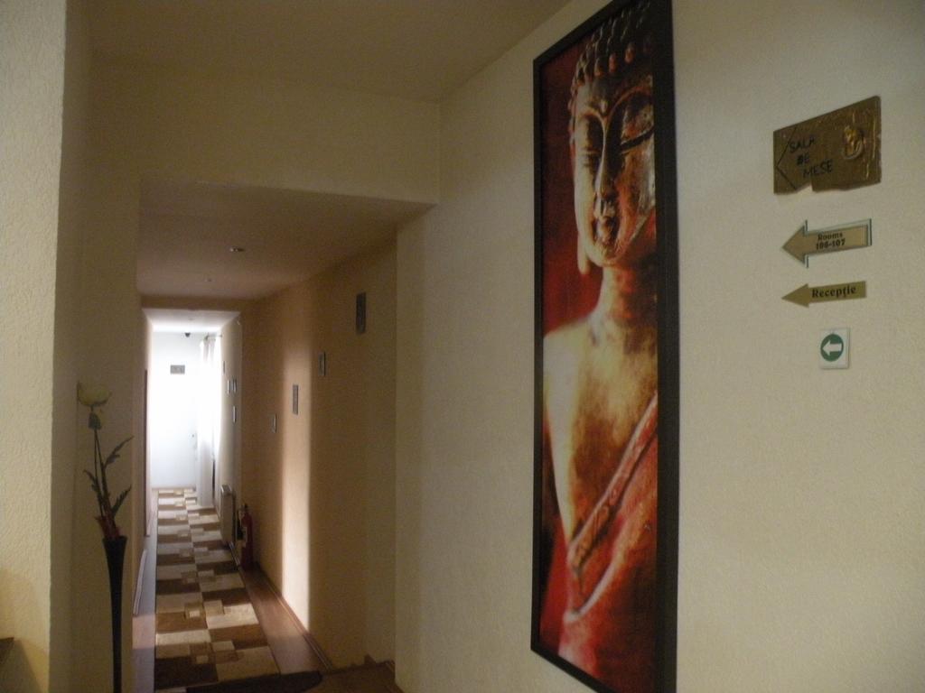 Pension Cleopatra Târgu-Mureş Dış mekan fotoğraf
